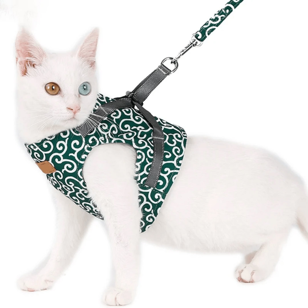 Cat Vest-Style Clothes with Traction Rope and Chest Harness