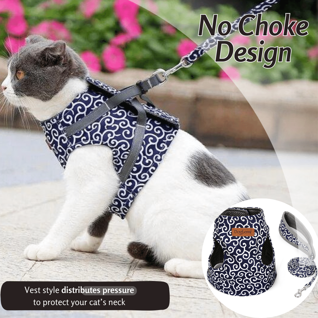 Cat Vest-Style Clothes with Traction Rope and Chest Harness